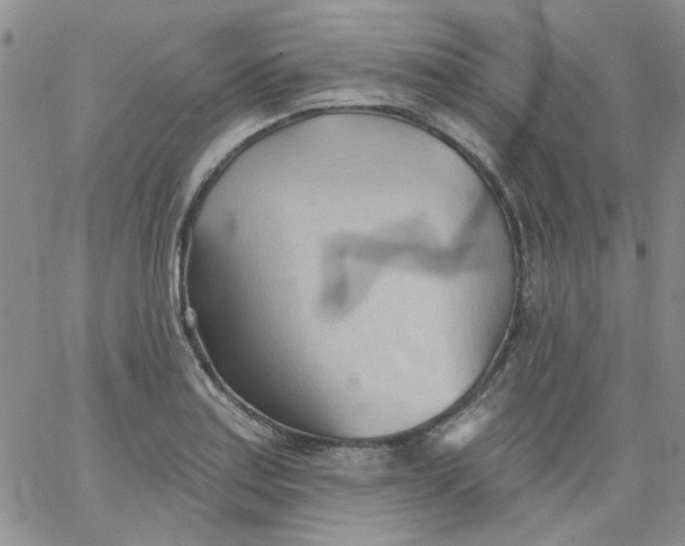 X0000062891179200602031759