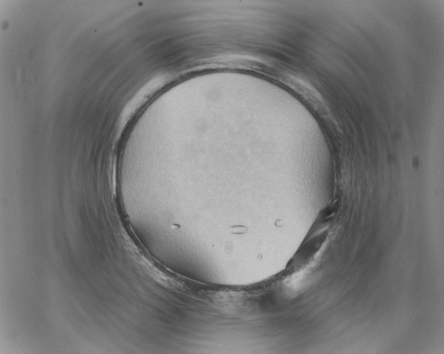 X0000062891180200602031759