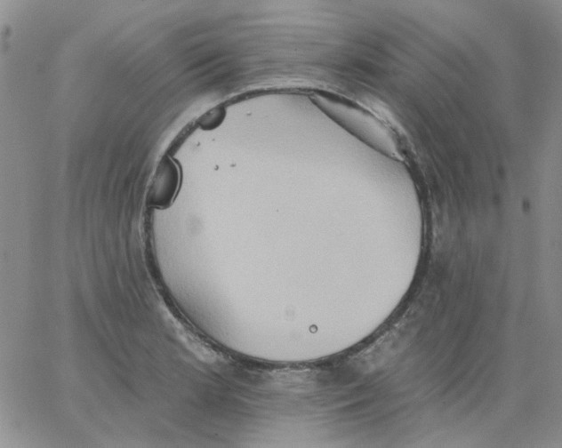 X0000062891181200602031759