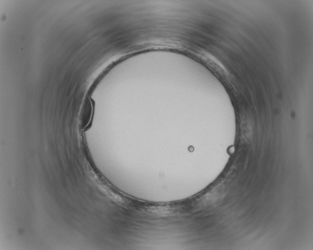 X0000062891182200602031759