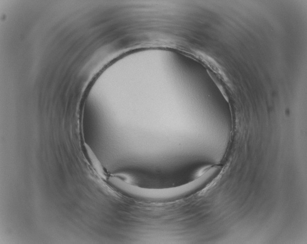 X0000062891184200602031759