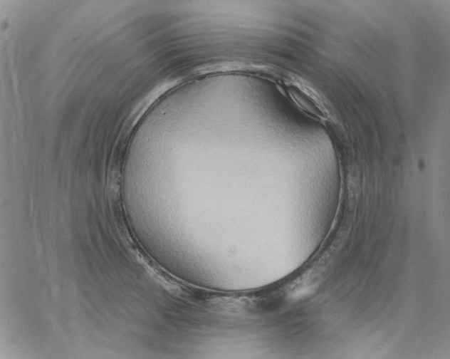 X0000062891185200602031759