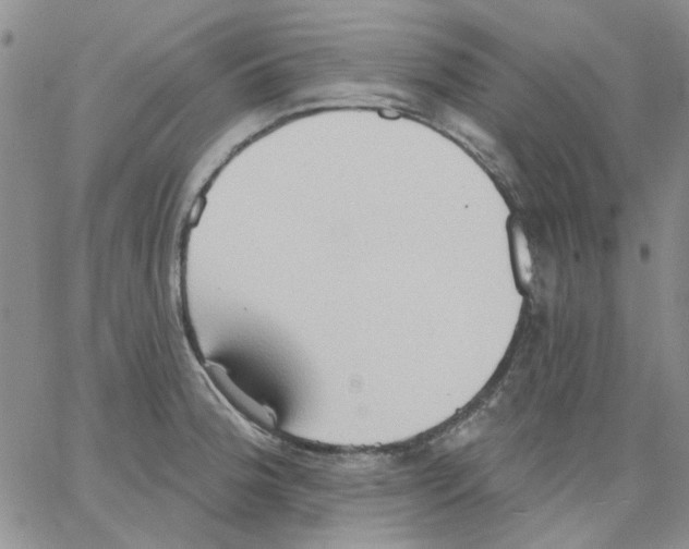 X0000062891188200602031759