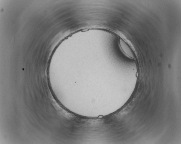 X0000062891189200602031759