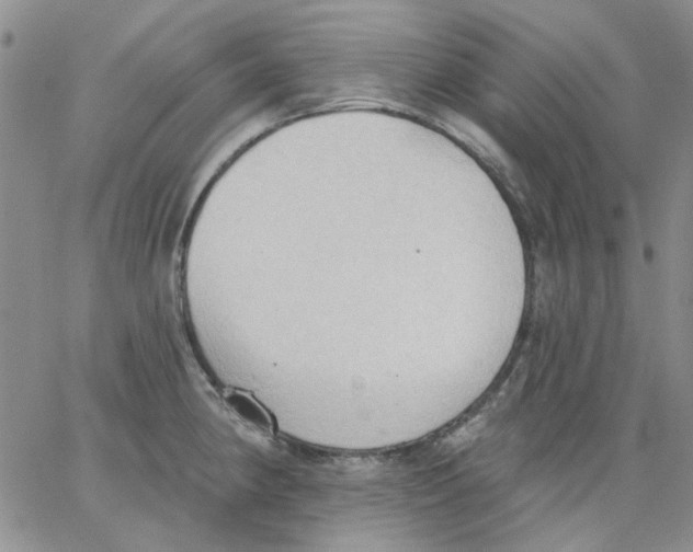 X0000062891190200602031759