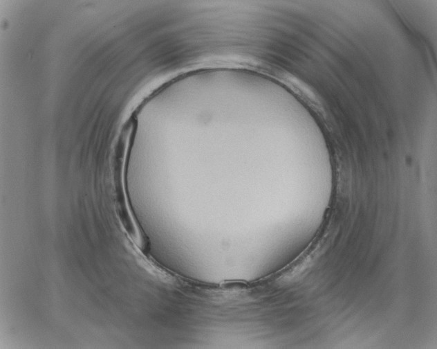 X0000062891192200602031759