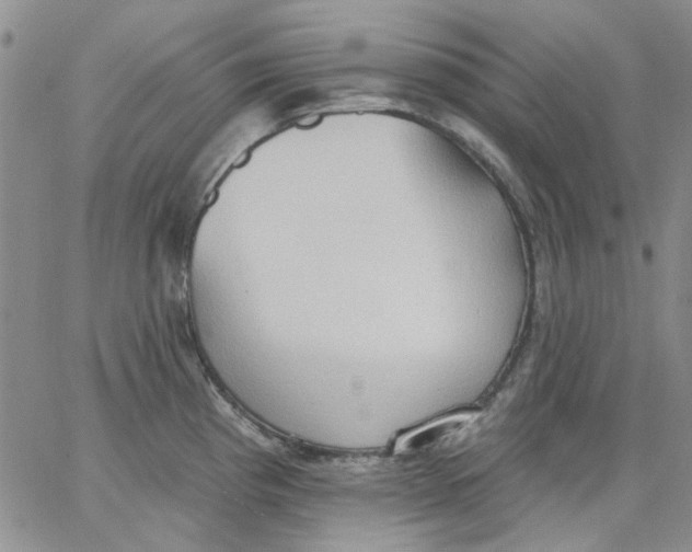 X0000062891193200602031759