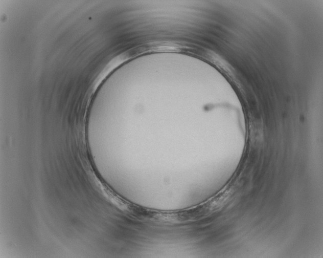 X0000062891194200602031759