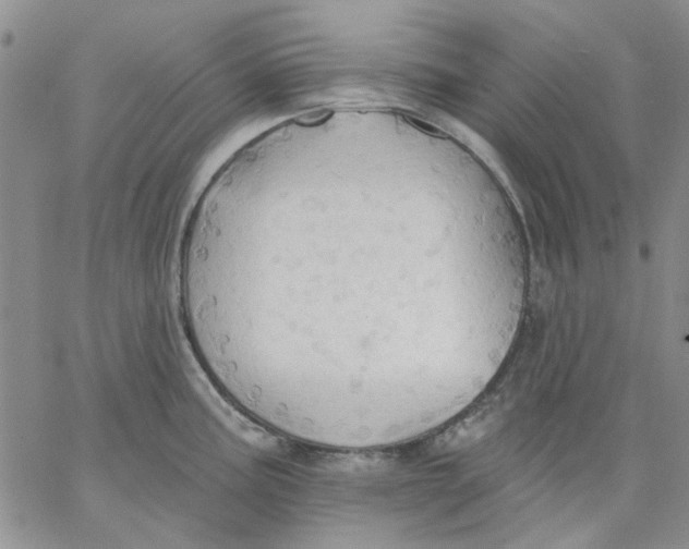 X0000062891195200602031759