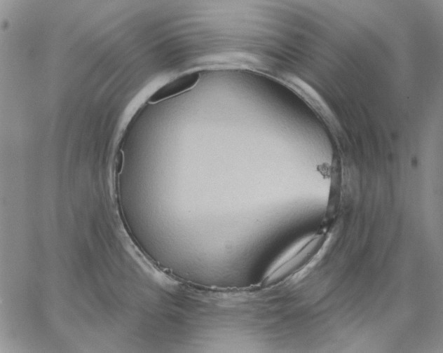 X0000062891196200602031759