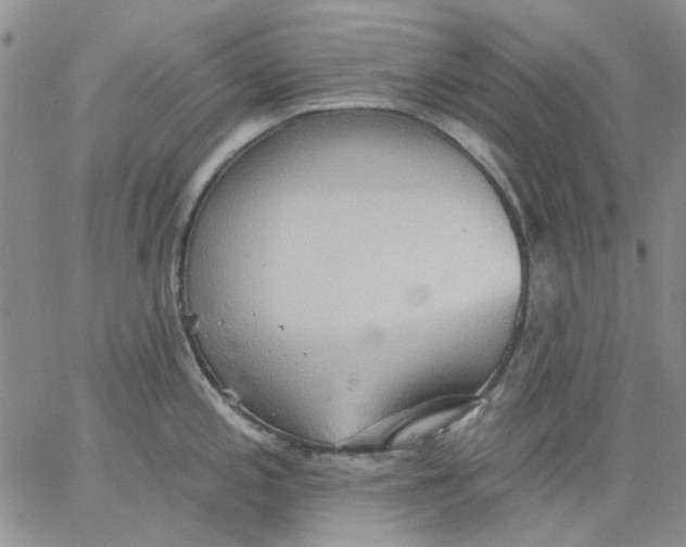 X0000062891197200602031759