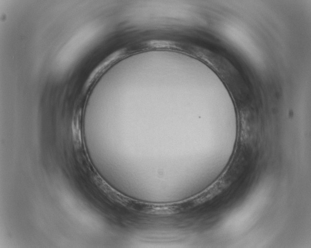 X0000062891198200602031759