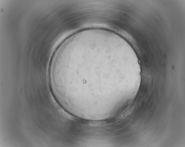 X0000062891199200602031759