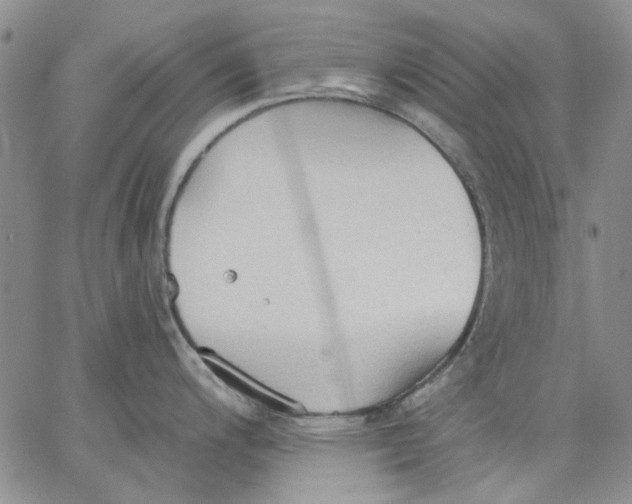 X0000062891200200602031759