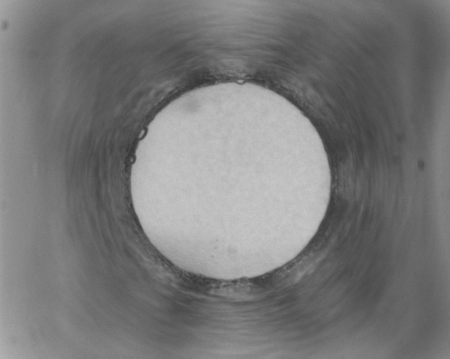 X0000062891201200602031758