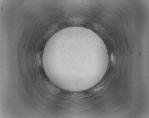 X0000062891203200602031758