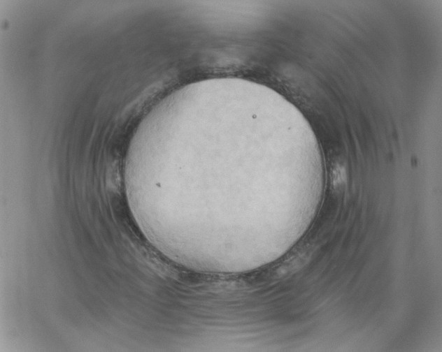 X0000062891204200602031758