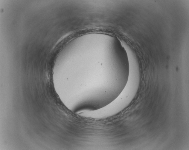 X0000062891206200602031758