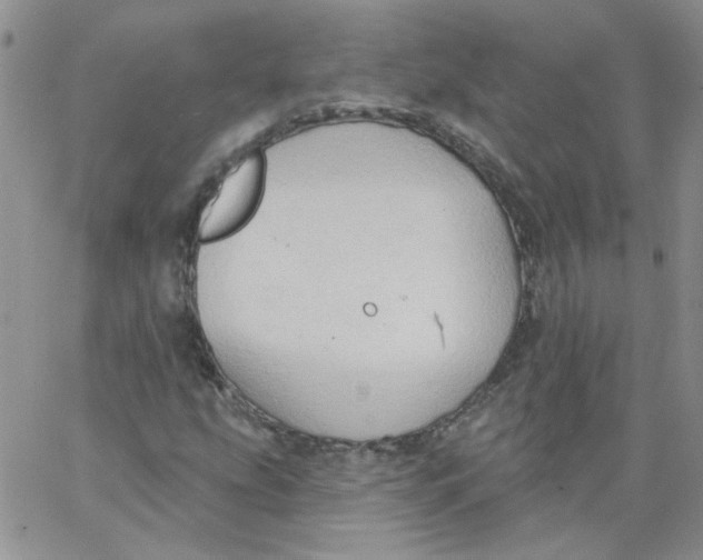 X0000062891207200602031758