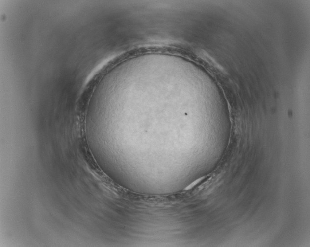 X0000062891208200602031758