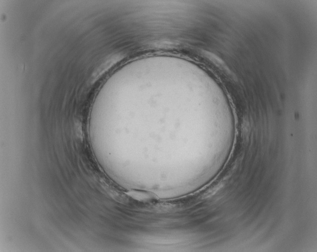 X0000062891209200602031759