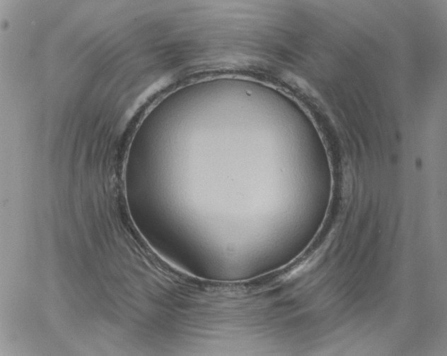 X0000062891210200602031759