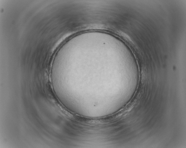 X0000062891212200602031759