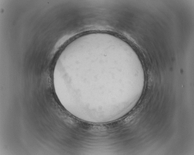 X0000062891215200602031759