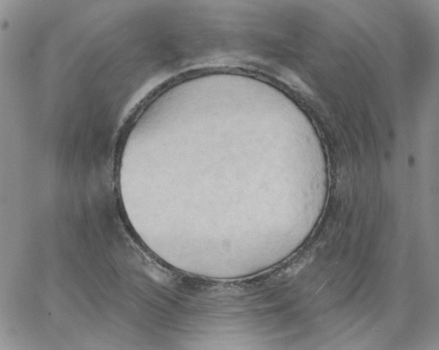 X0000062891216200602031759