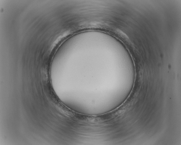 X0000062891218200602031759