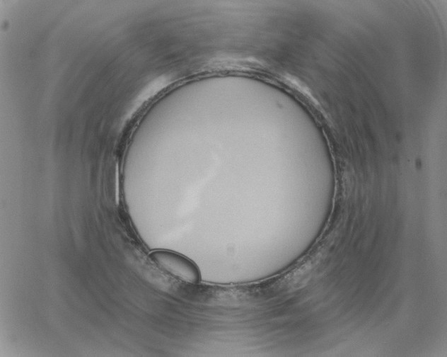 X0000062891219200602031759