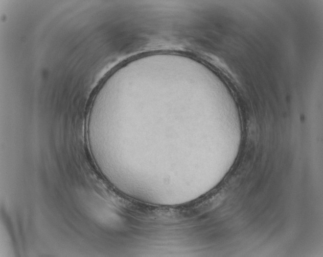 X0000062891220200602031759