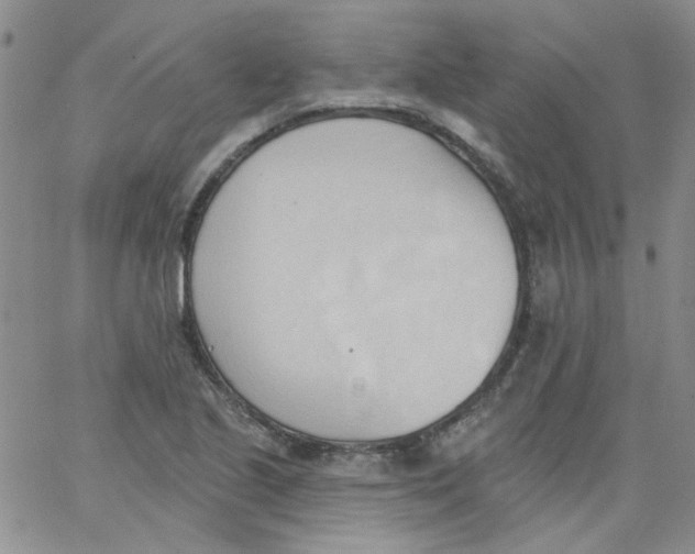 X0000062891221200602031759