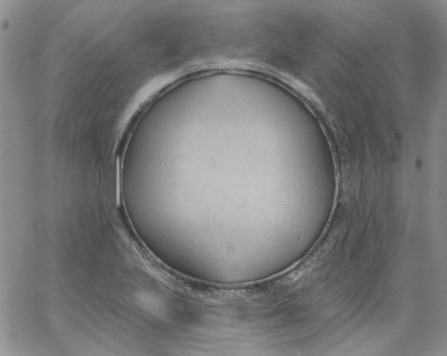 X0000062891223200602031759