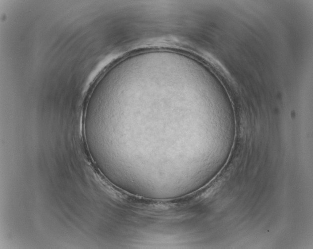 X0000062891224200602031759