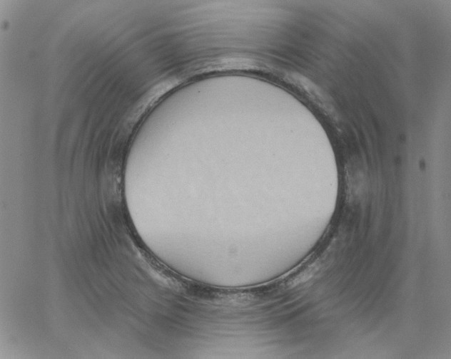 X0000062891225200602031759