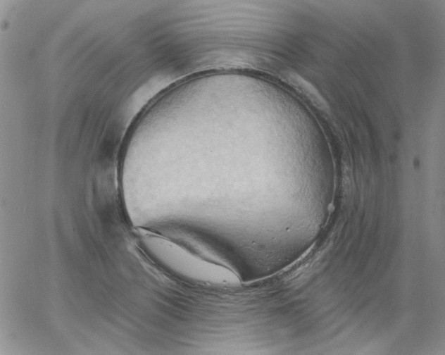 X0000062891226200602031759