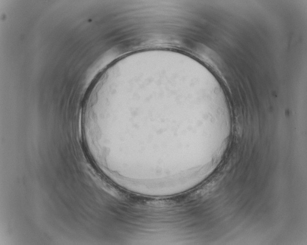 X0000062891227200602031759