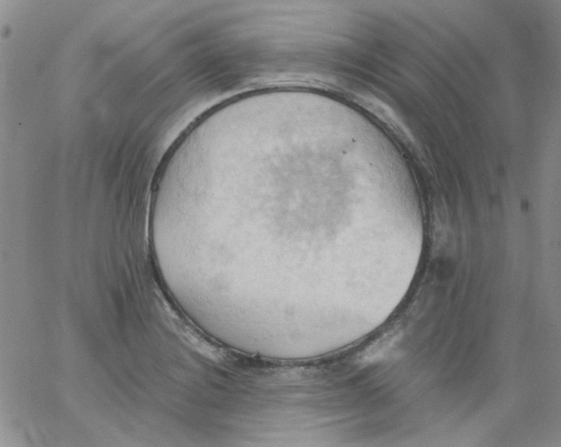 X0000062891228200602031759