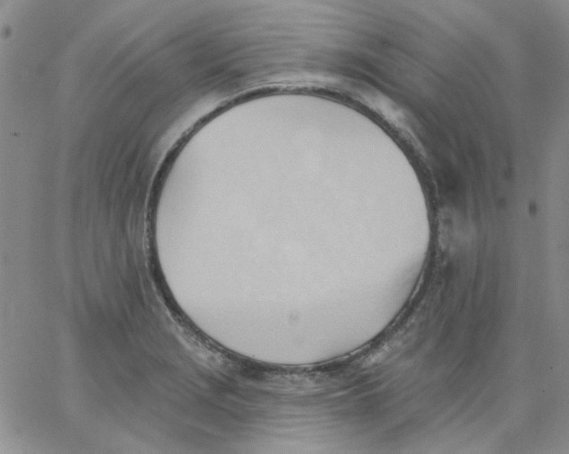 X0000062891229200602031759