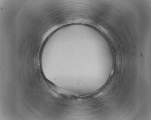 X0000062891230200602031759