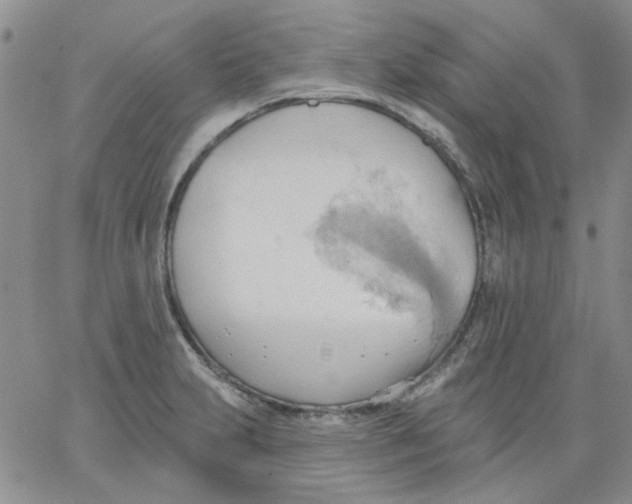 X0000062891231200602031759