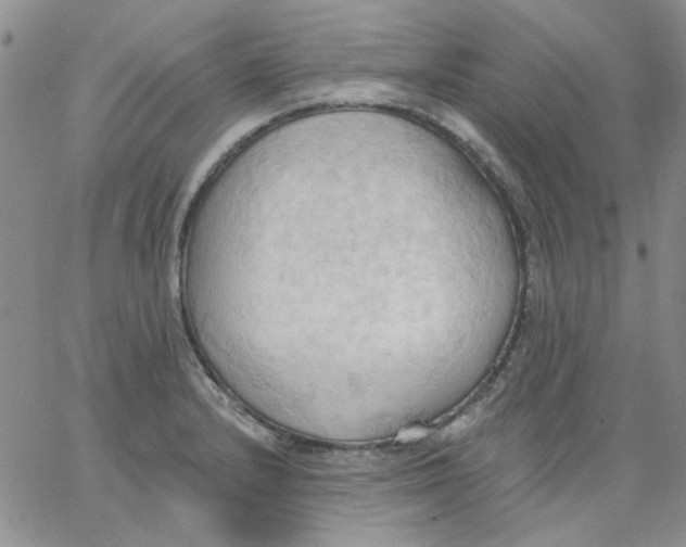 X0000062891232200602031759