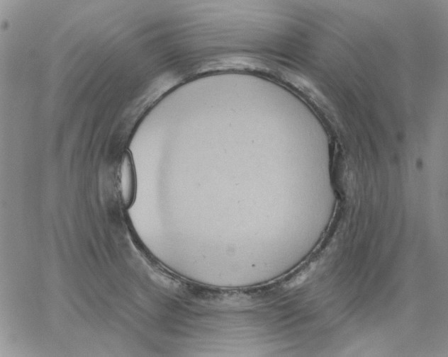 X0000062891233200602031759