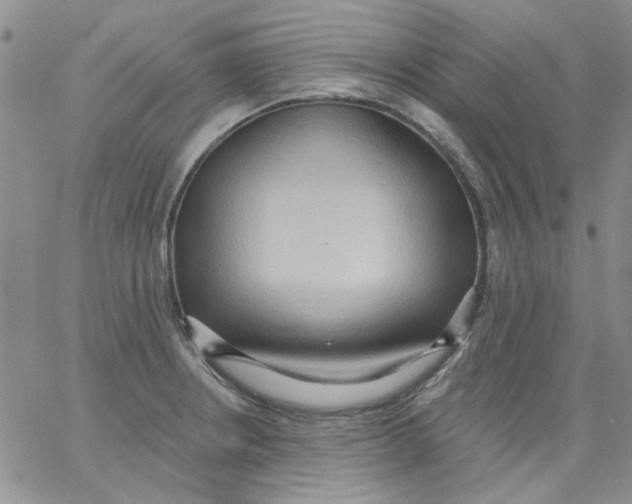 X0000062891234200602031759