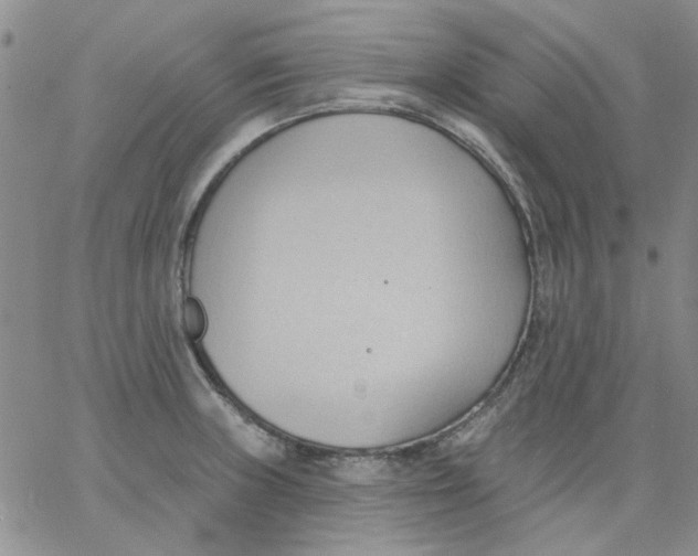 X0000062891235200602031759