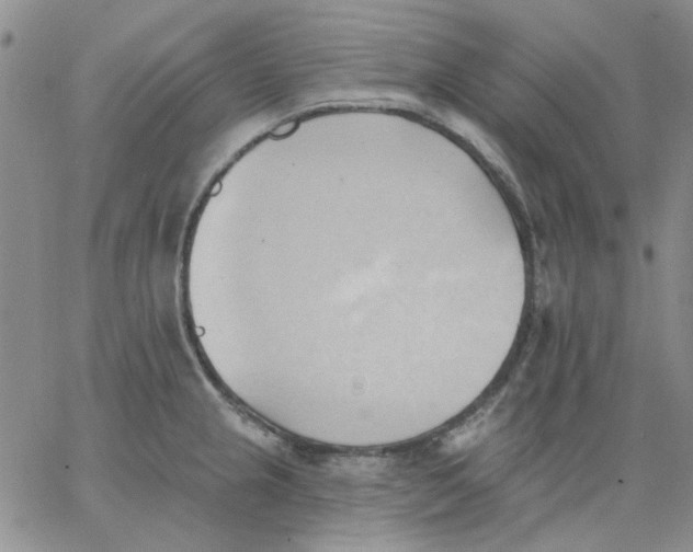 X0000062891237200602031759