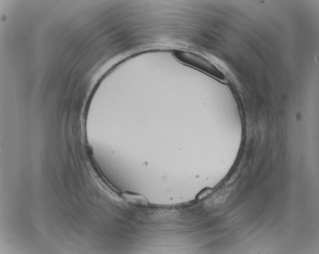 X0000062891238200602031759