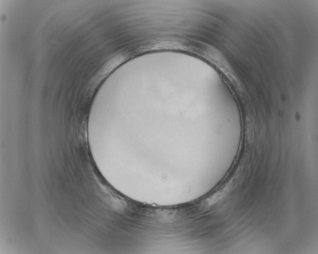 X0000062891241200602031759