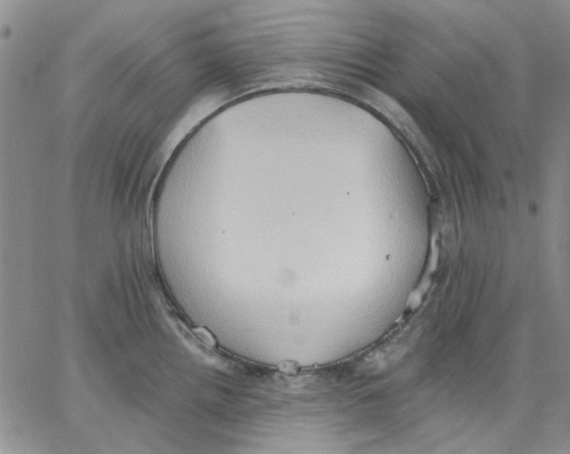 X0000062891242200602031759